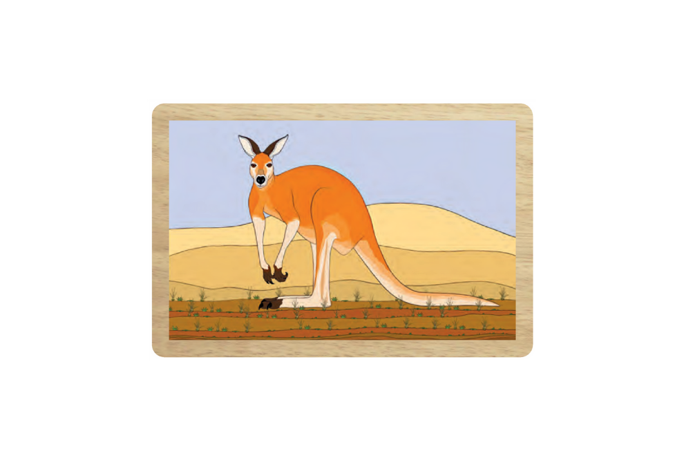 Kangaroo Wooden Magnet