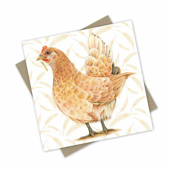 Miss Chicky the Chicken