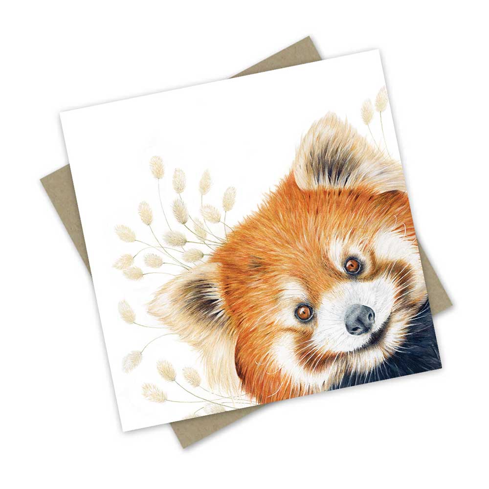 Red Panda | Greeting card