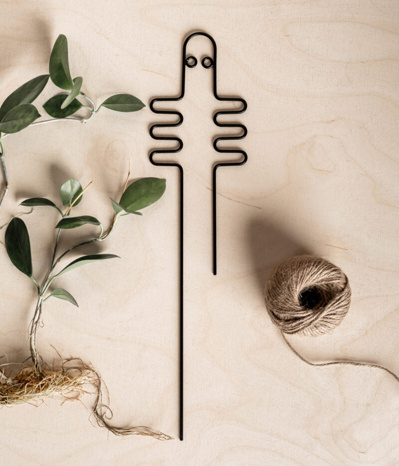 Hattifattener plant support