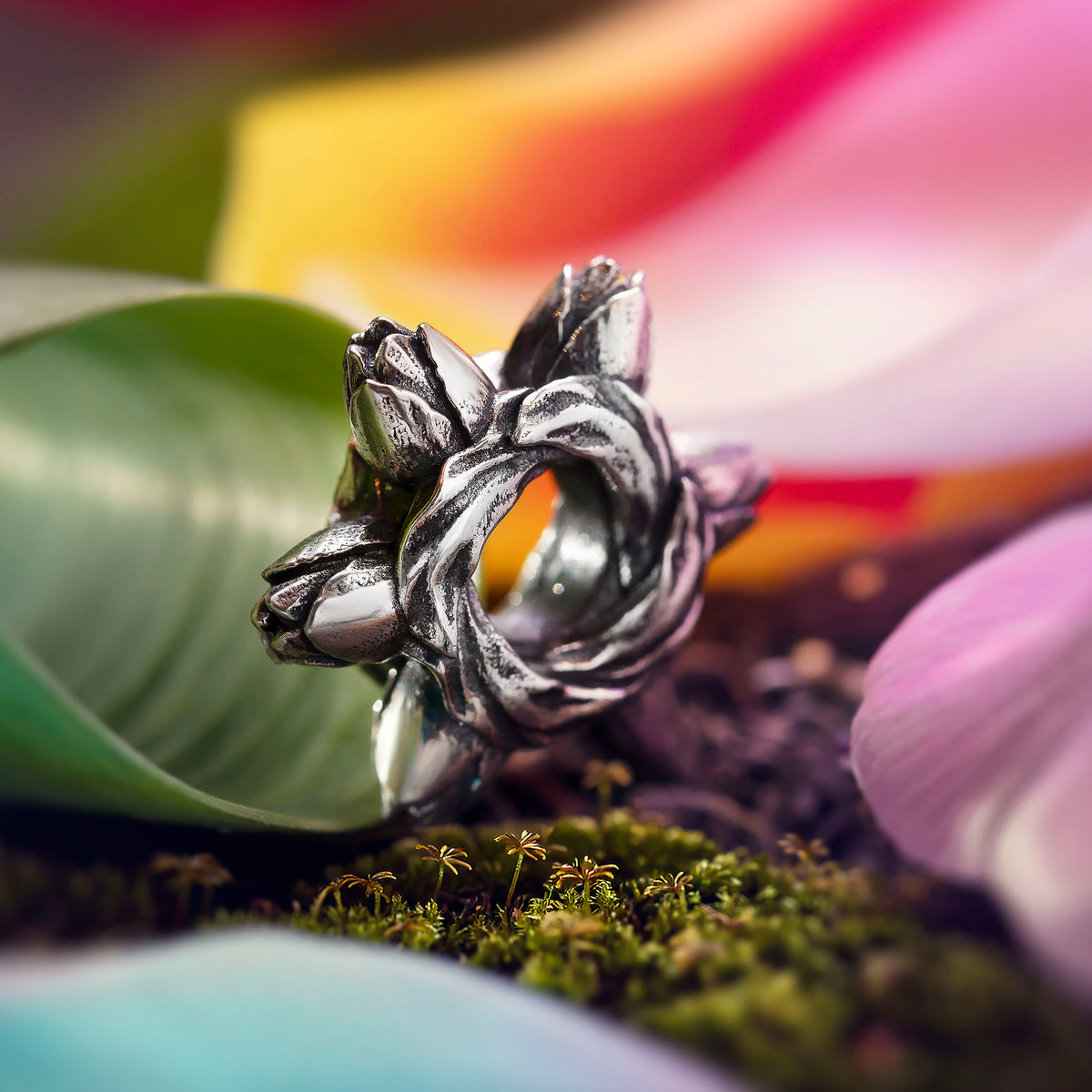 Tulip Embrace