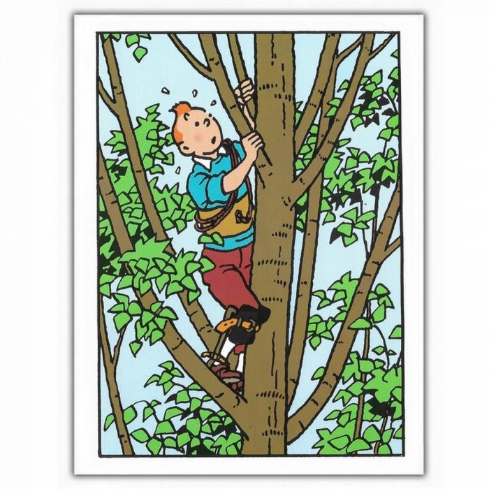 Greeting Card Tintin, in the tree - Mu Shop