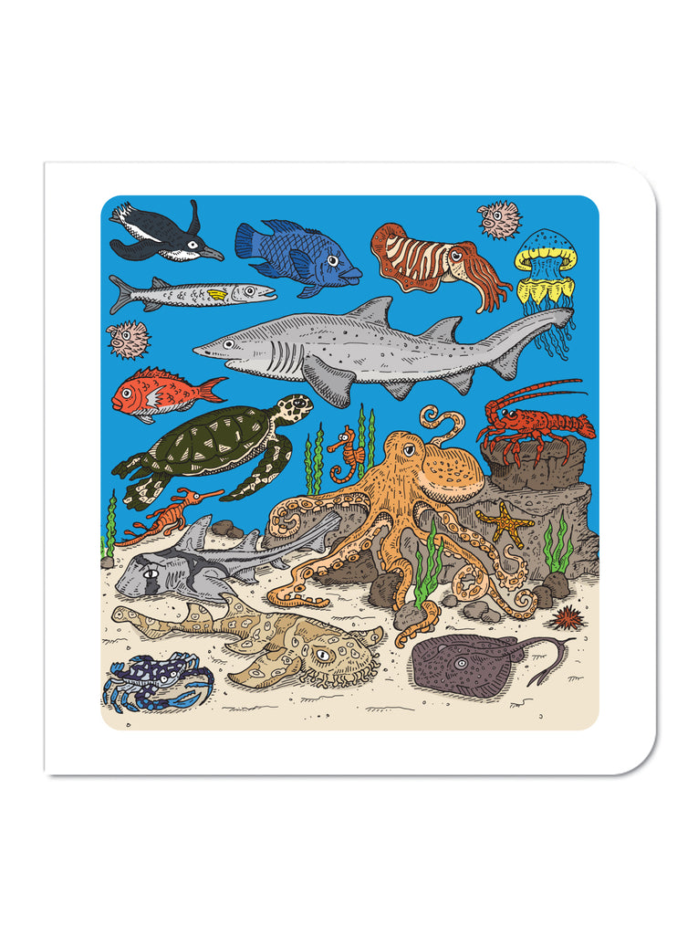 Australian Marine Life Greeting Card