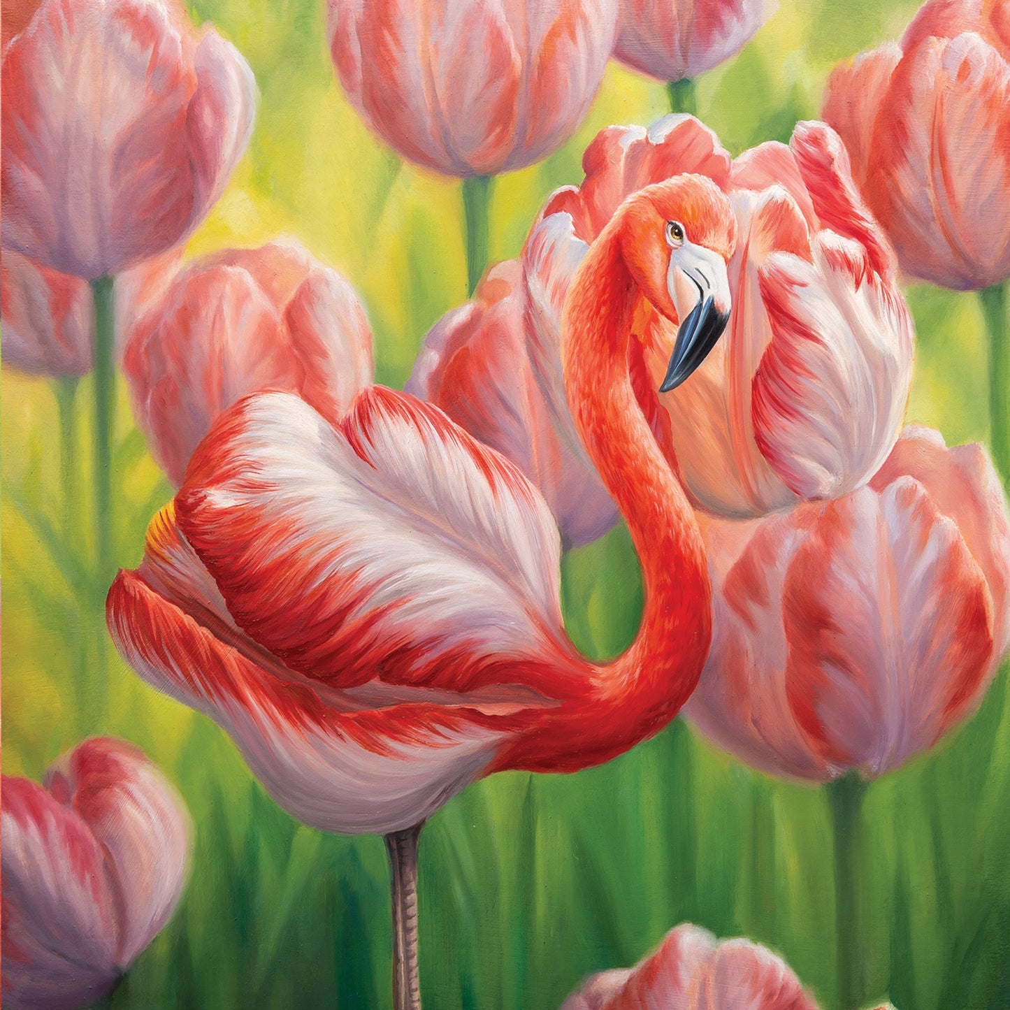 Tulipa Greeting Card