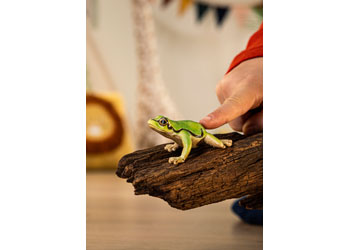 Additional view of European Tree Frog Figure 3cm