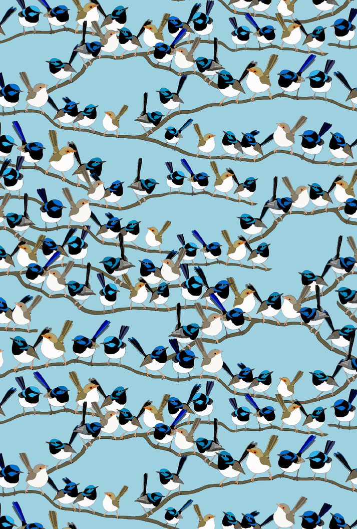 Superb Fairy Wrens Card - Mu Shop