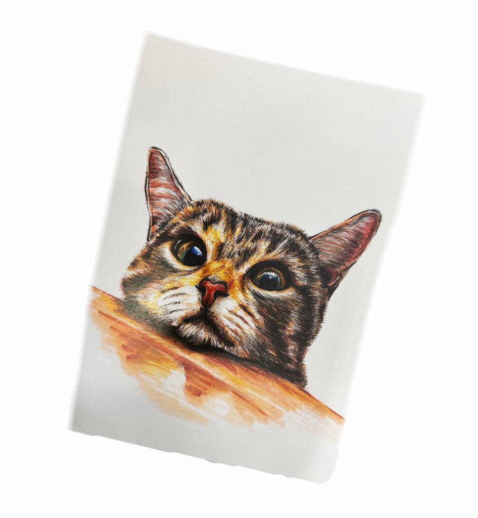 Cute Cat Print - Mu Shop