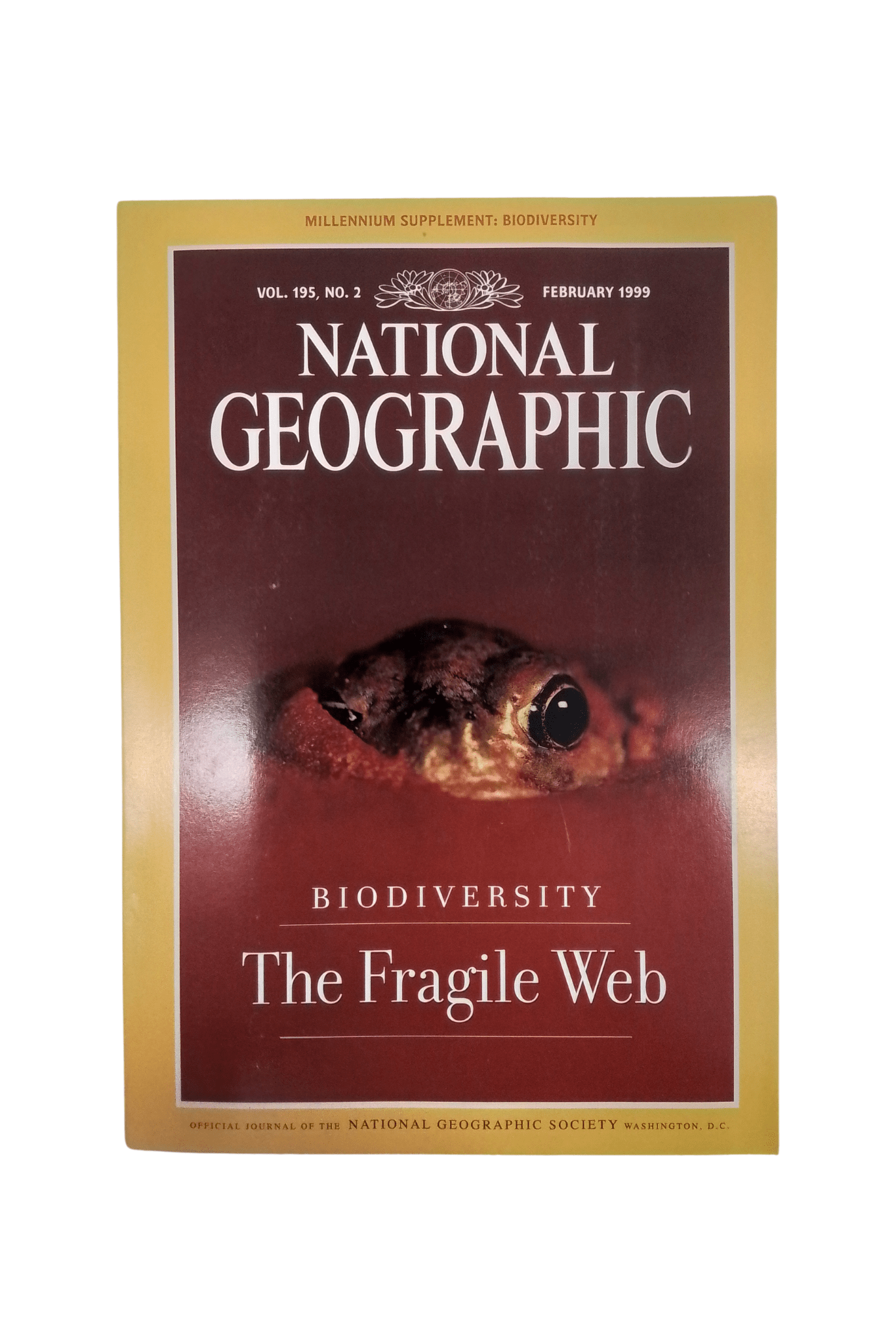Vintage National Geographic February 1999 - Mu Shop