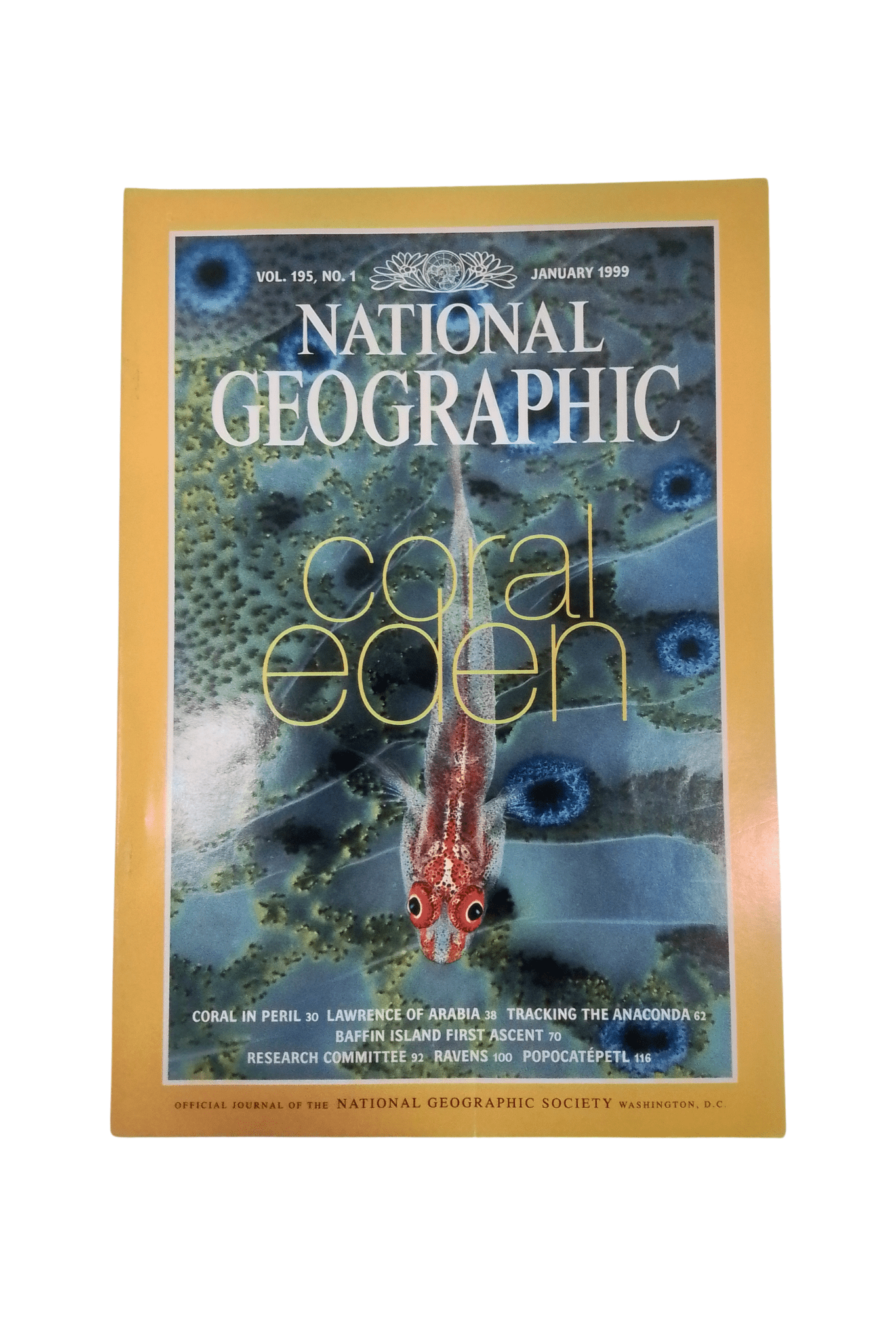 Vintage National Geographic January 1999 - Mu Shop