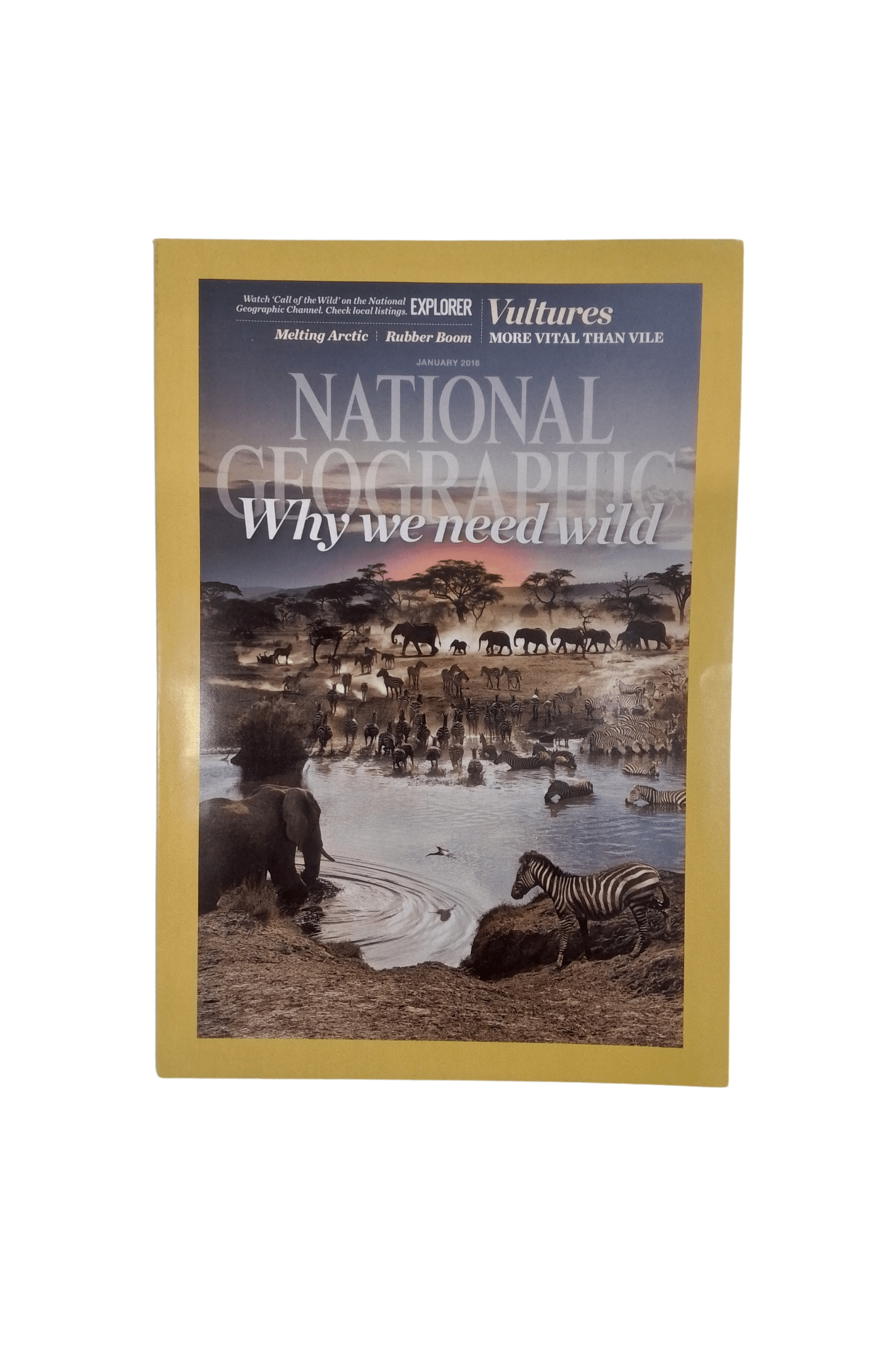 Vintage National Geographic January 2010 - Mu Shop