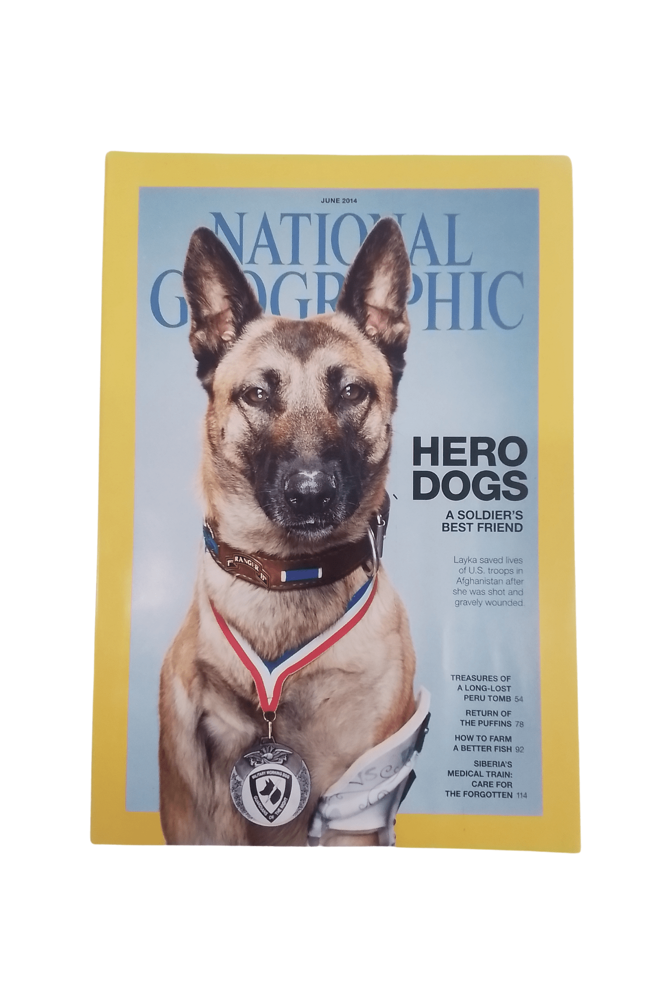 Vintage National Geographic June 2014 - Mu Shop