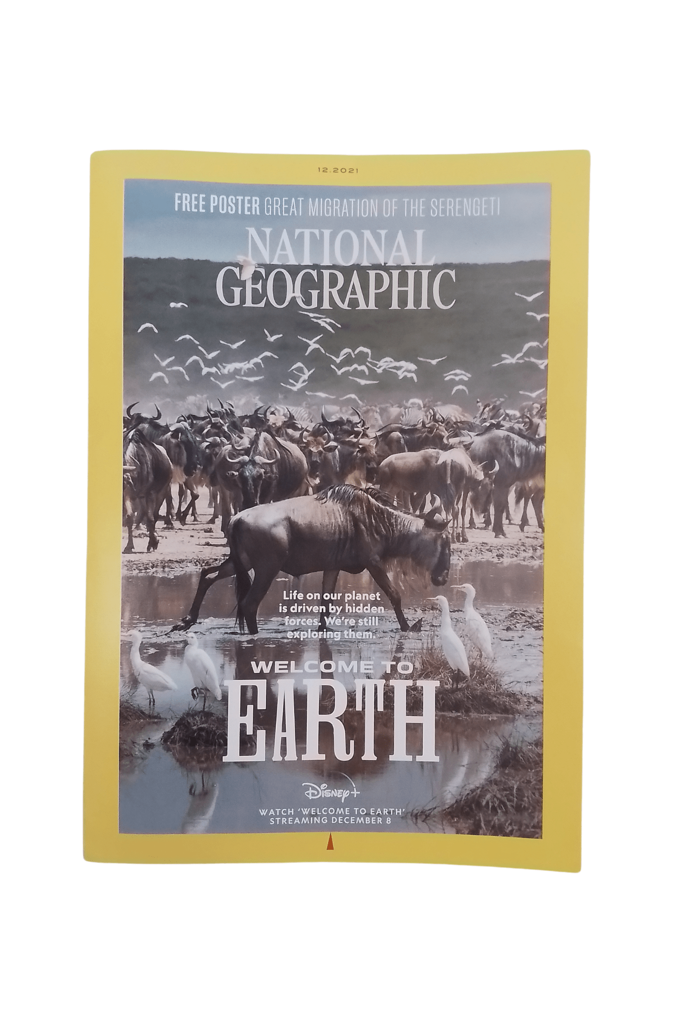 Vintage National Geographic Magazine December 2021 - Mu Shop