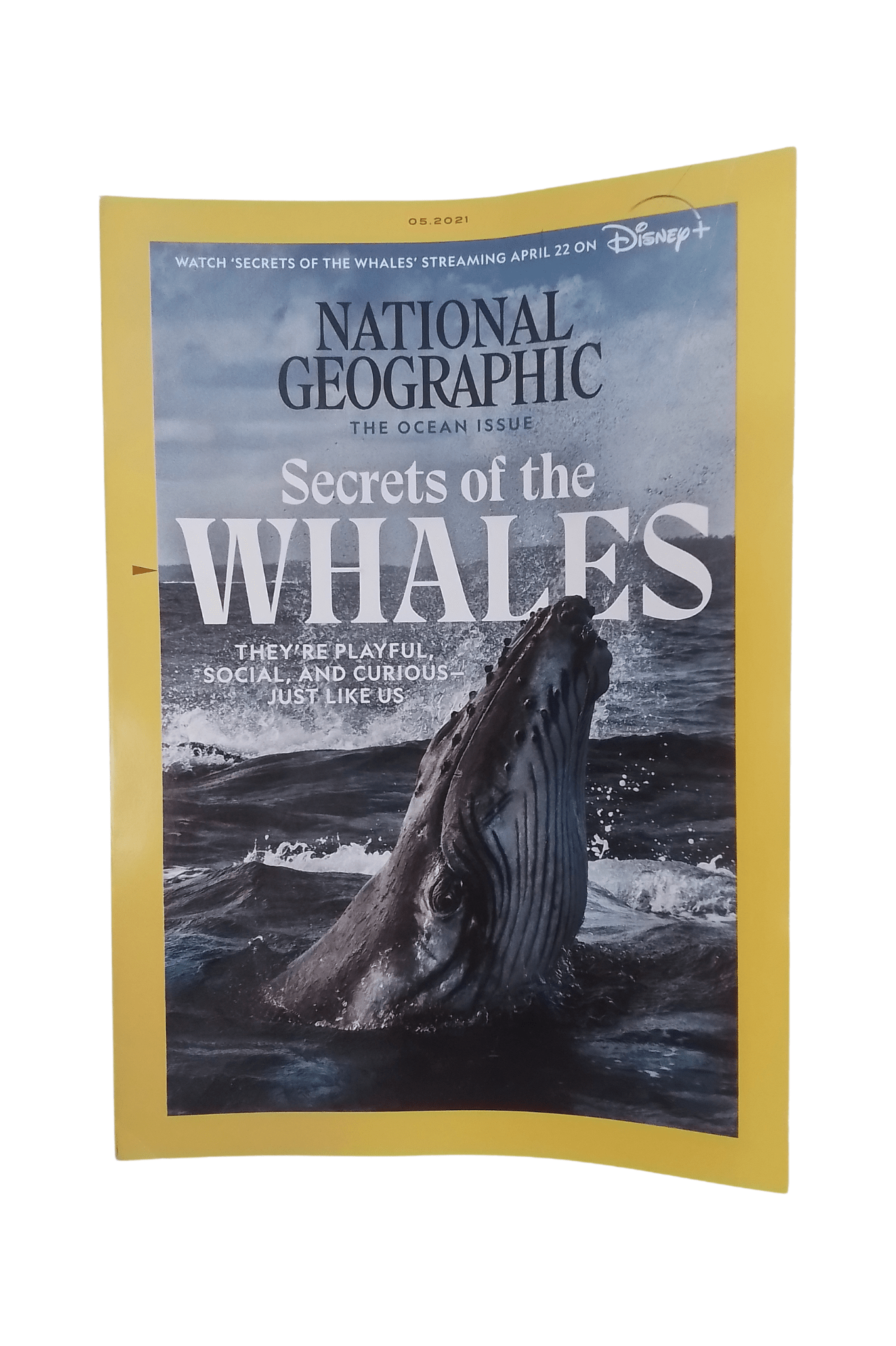 Vintage National Geographic Magazine May 2021 - Mu Shop