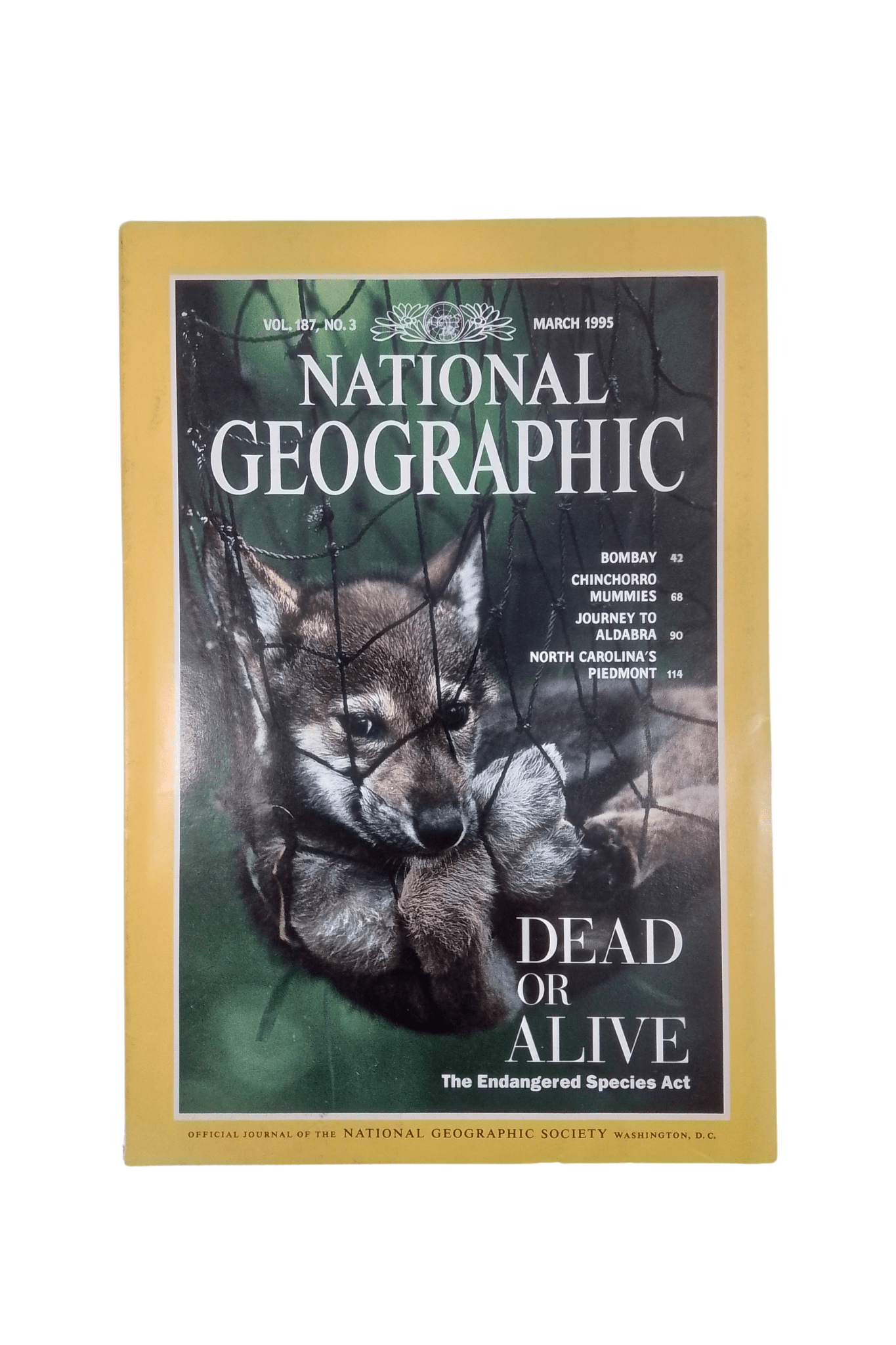 Vintage National Geographic March 1995 - Mu Shop