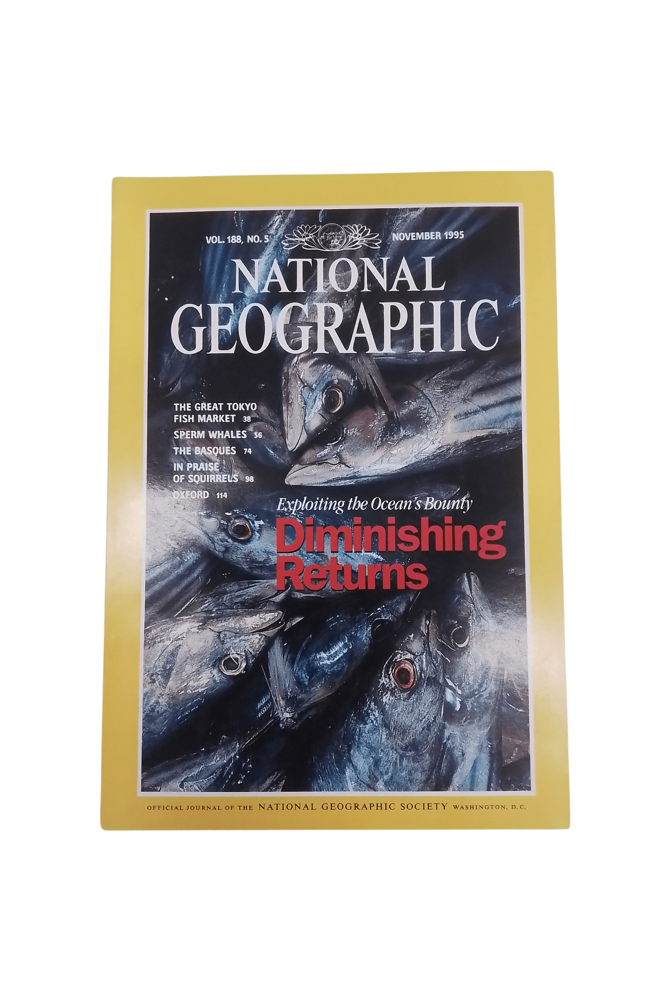 Vintage National Geographic November 1995 - Mu Shop