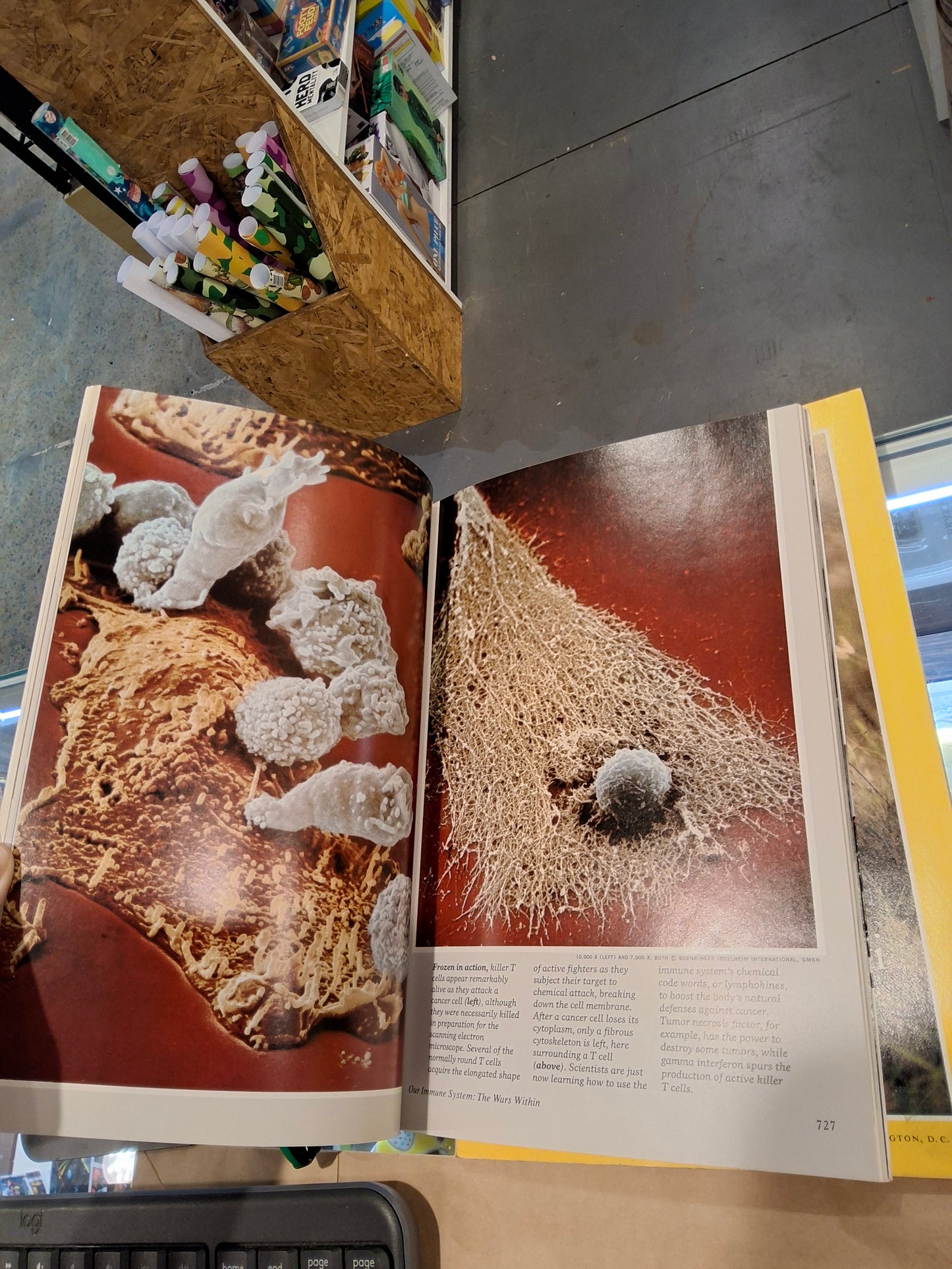 Vintage National Geographic JUNE 1986