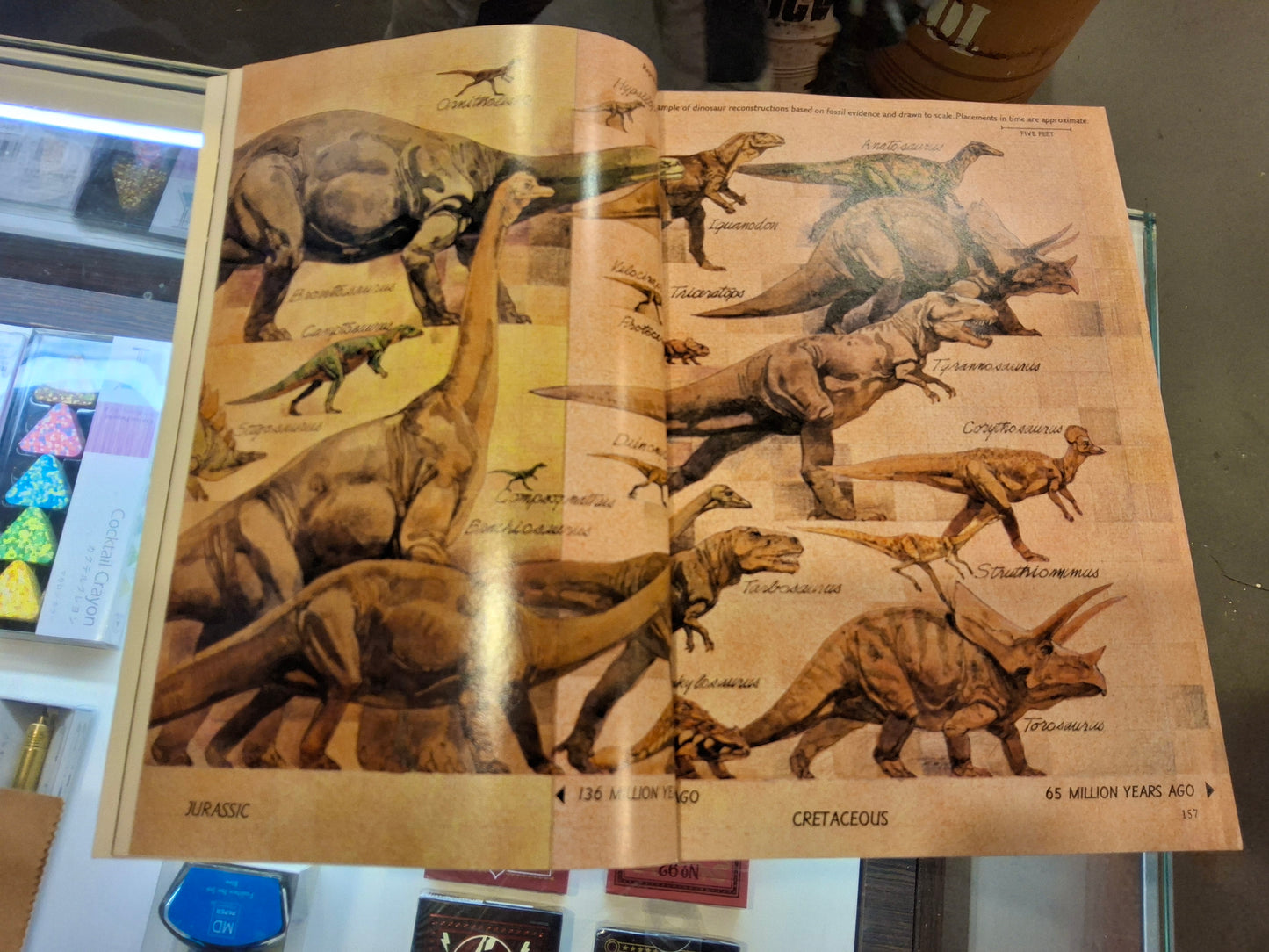 Vintage National Geographic AUGUST 1978