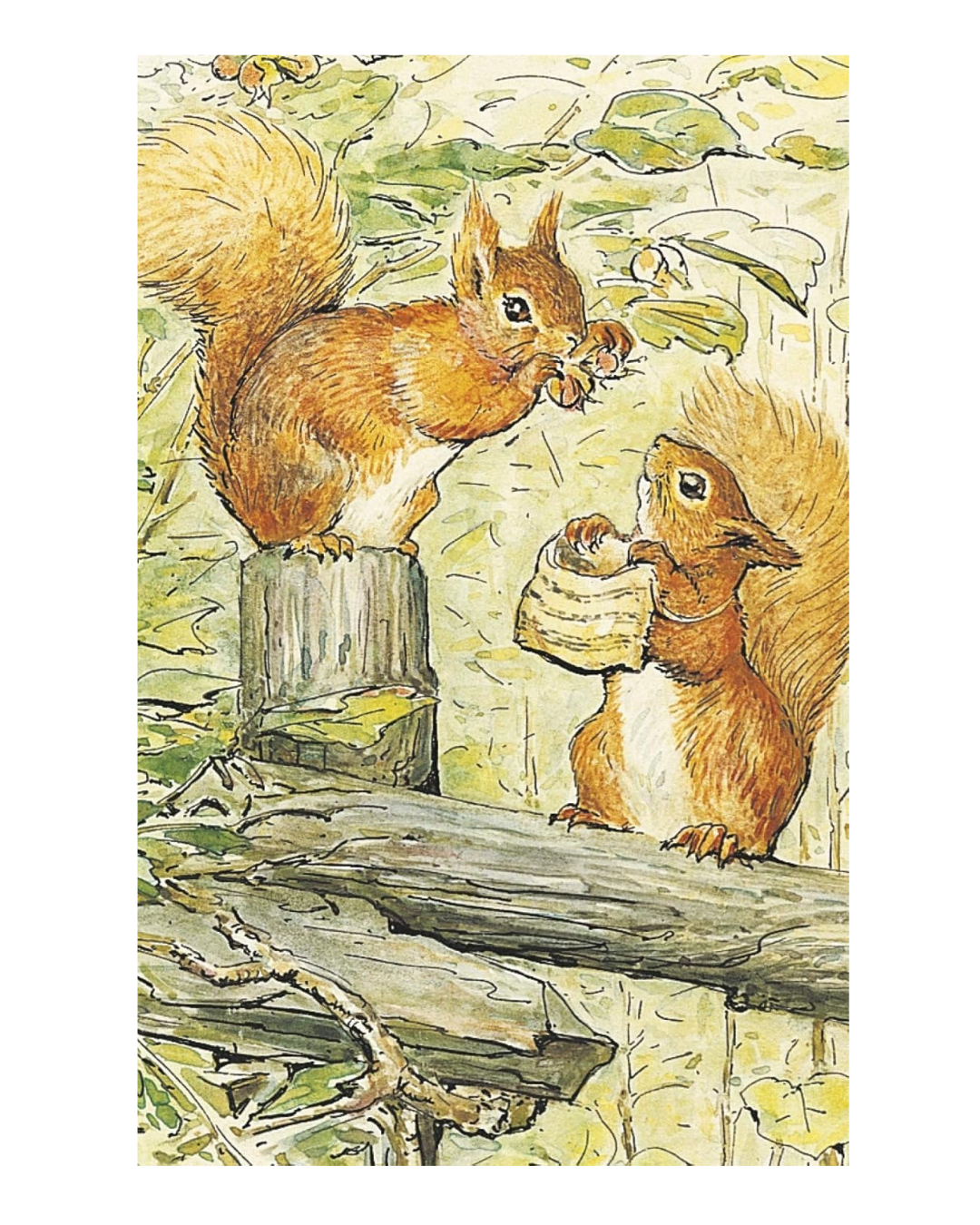 The World of Peter Rabbit: A Box of Postcards