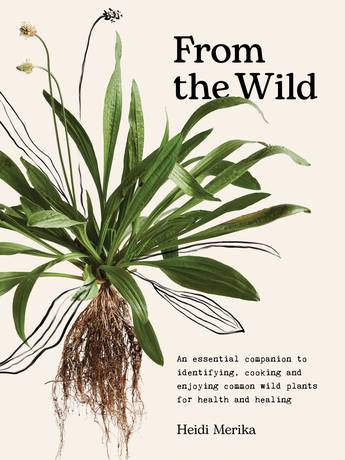 From the Wild: An Essential Companion to Identifying, Cooking and Enjoying Common Wild Plants for Health and Healing