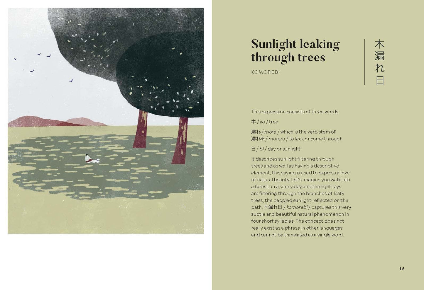 Even Cats and Rice Ladles