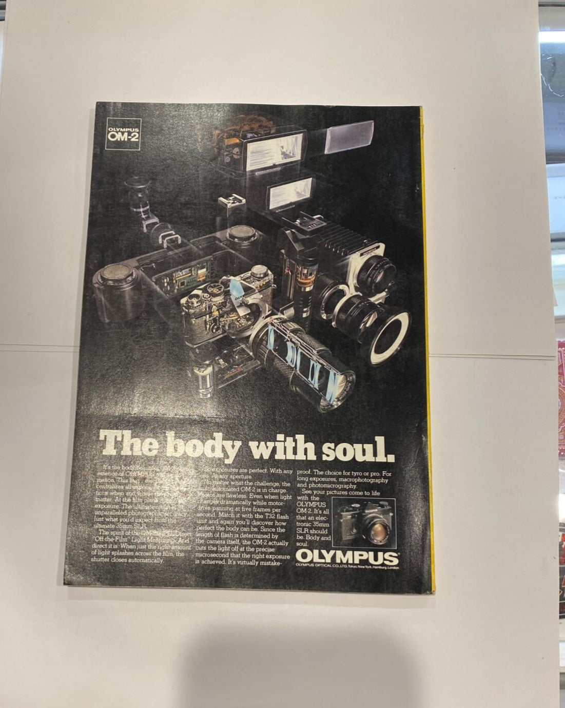 National Geographic Magazine November 1980