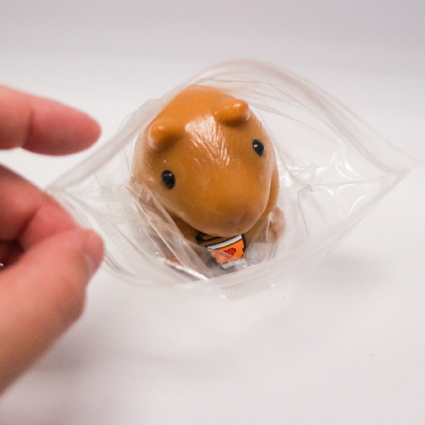Top view of the Squeezy Capybara Buddy in its clear bag