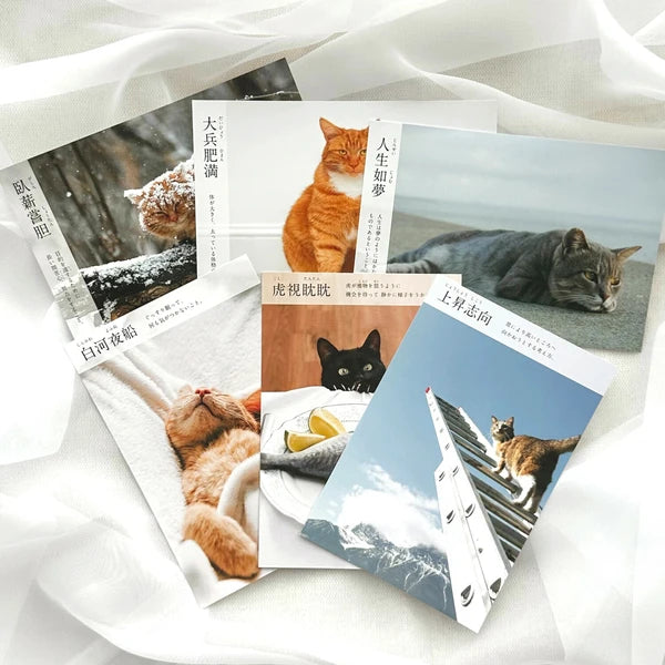 Cat Postcard – “Tahei Himan”