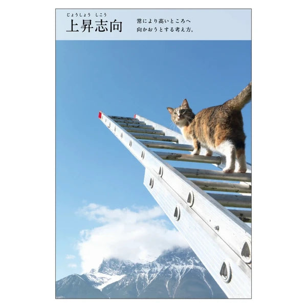 Cat Postcard – “Jōshō Shikō”