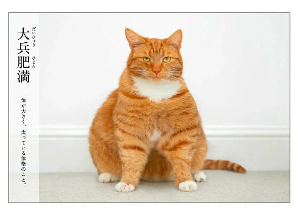 Cat Postcard – “Tahei Himan”