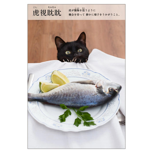 Cat Postcard – “Koshi Tantan”