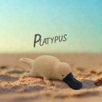 Squishy Australian Wildlife Gift set