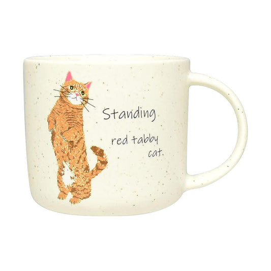 Cyamekke 300ml ceramic mug with tabby cat design