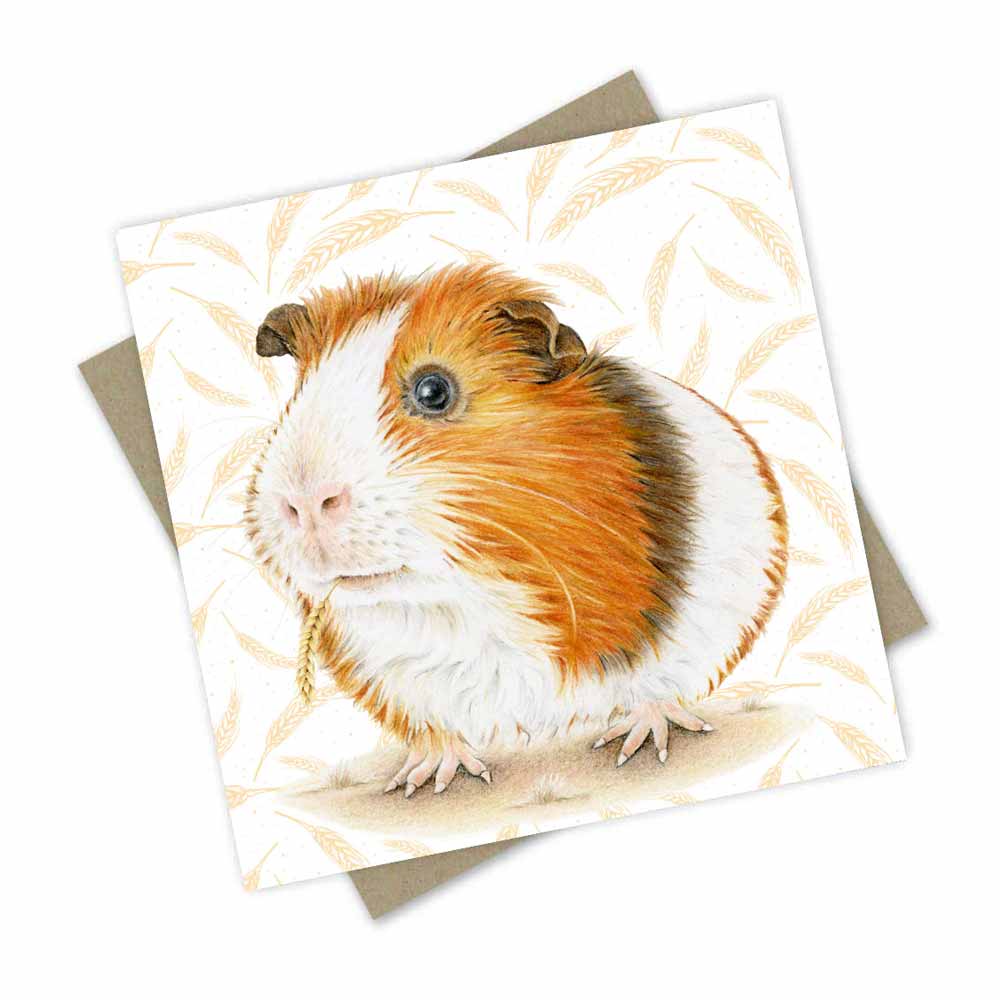 Farm friend: Guinea Pig card