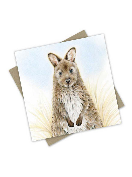 Silver Summer Wallaby Greeting Card