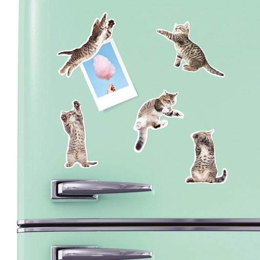 Action Cat Magnets (Set of 12)