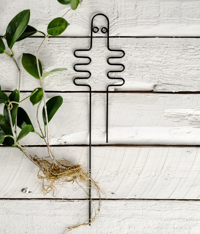 Hattifattener plant support