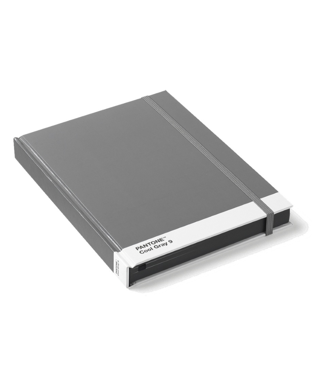 Pantone Notebook (Large) Cool Grey - Blank Pages