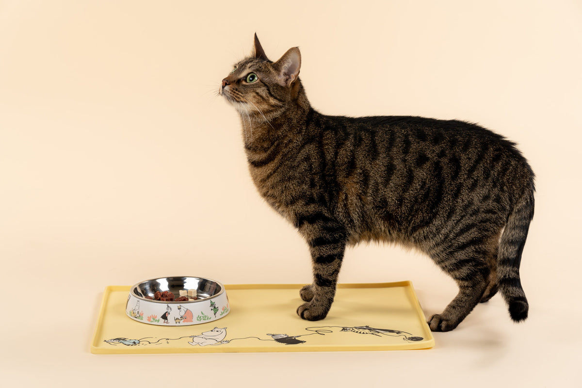 Moomin White Cat Food Bowl - view 4