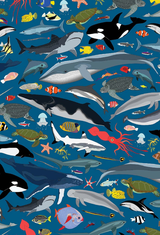 Ocean Creatures Card