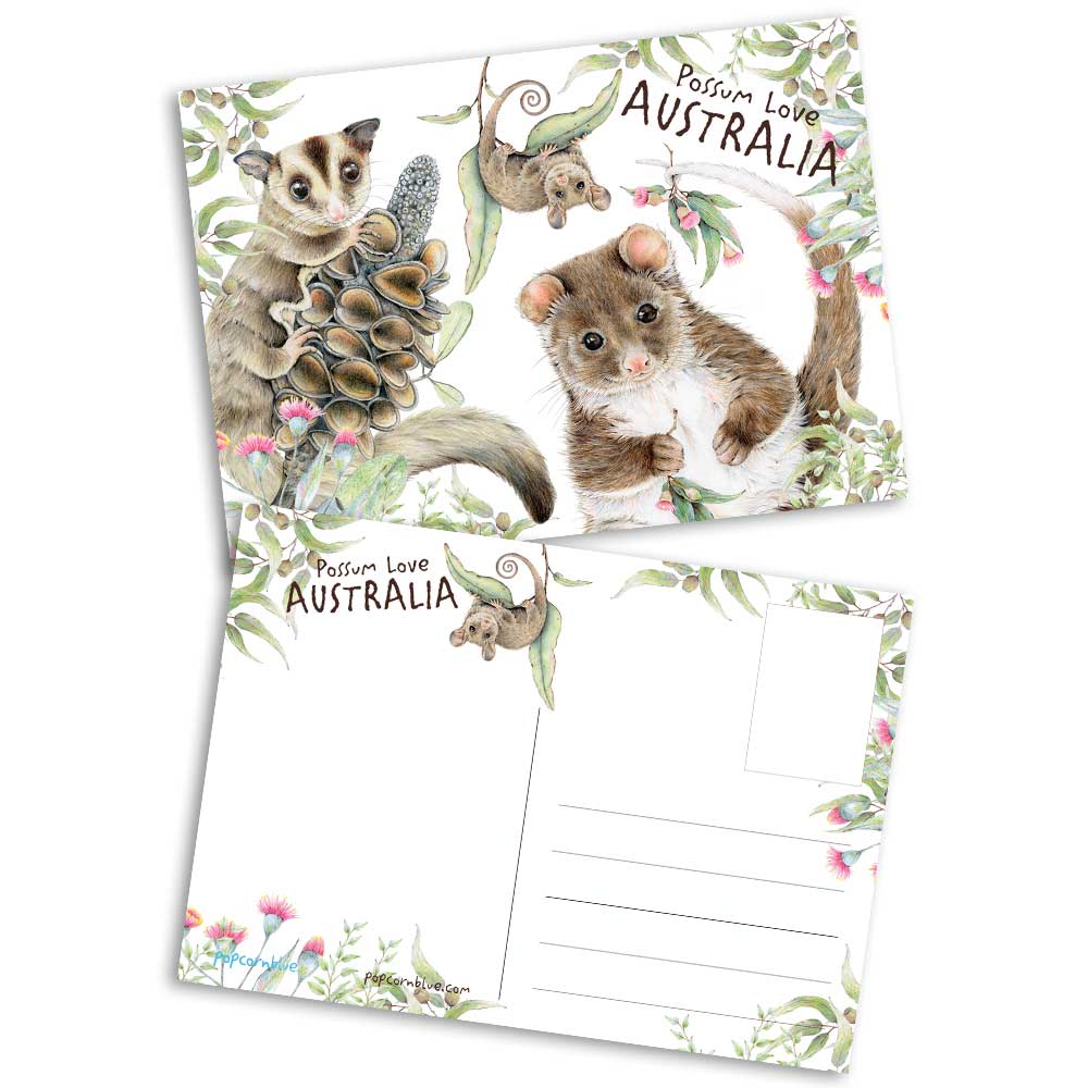 Postcard | Australian Possums Postcard