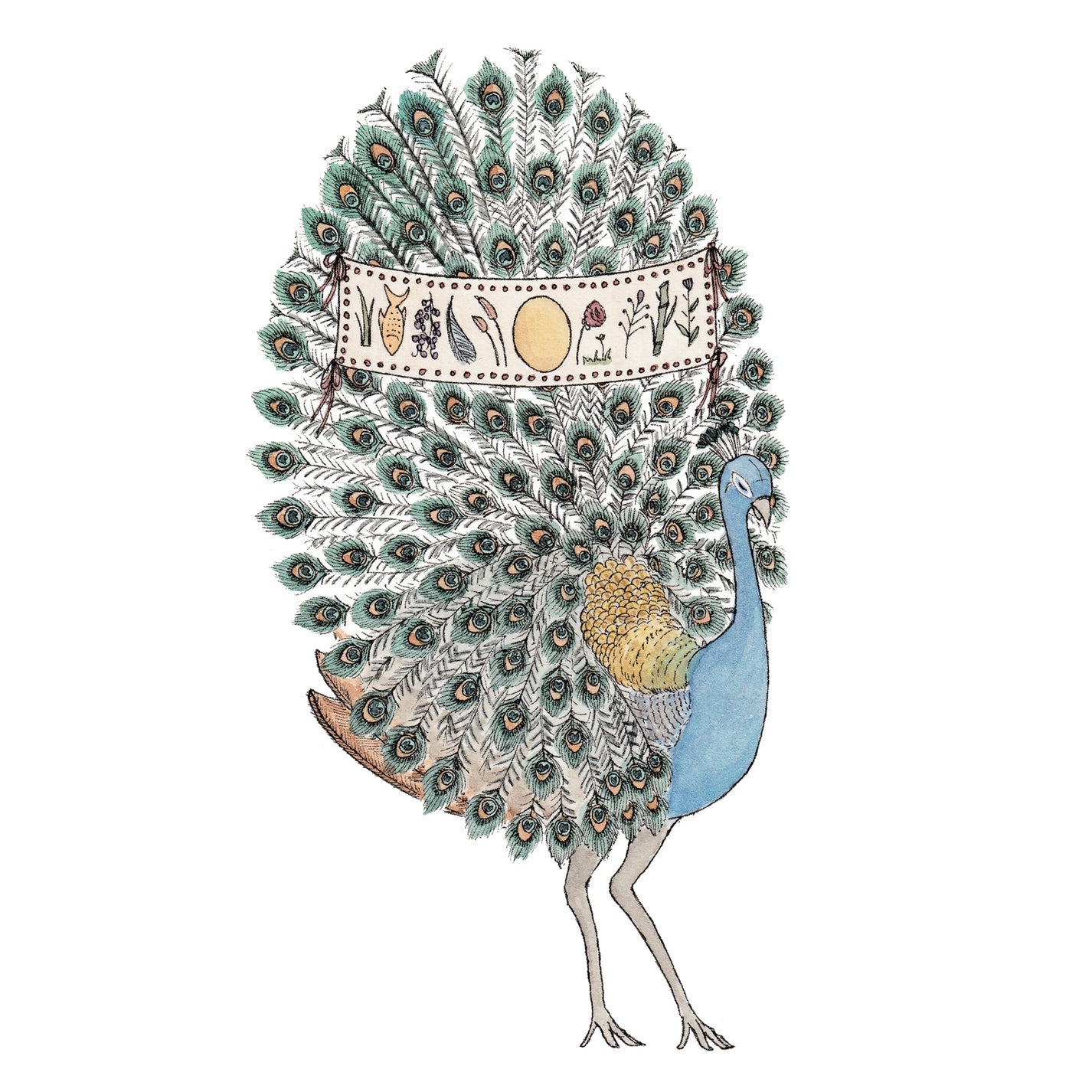 Peacock Greeting Card