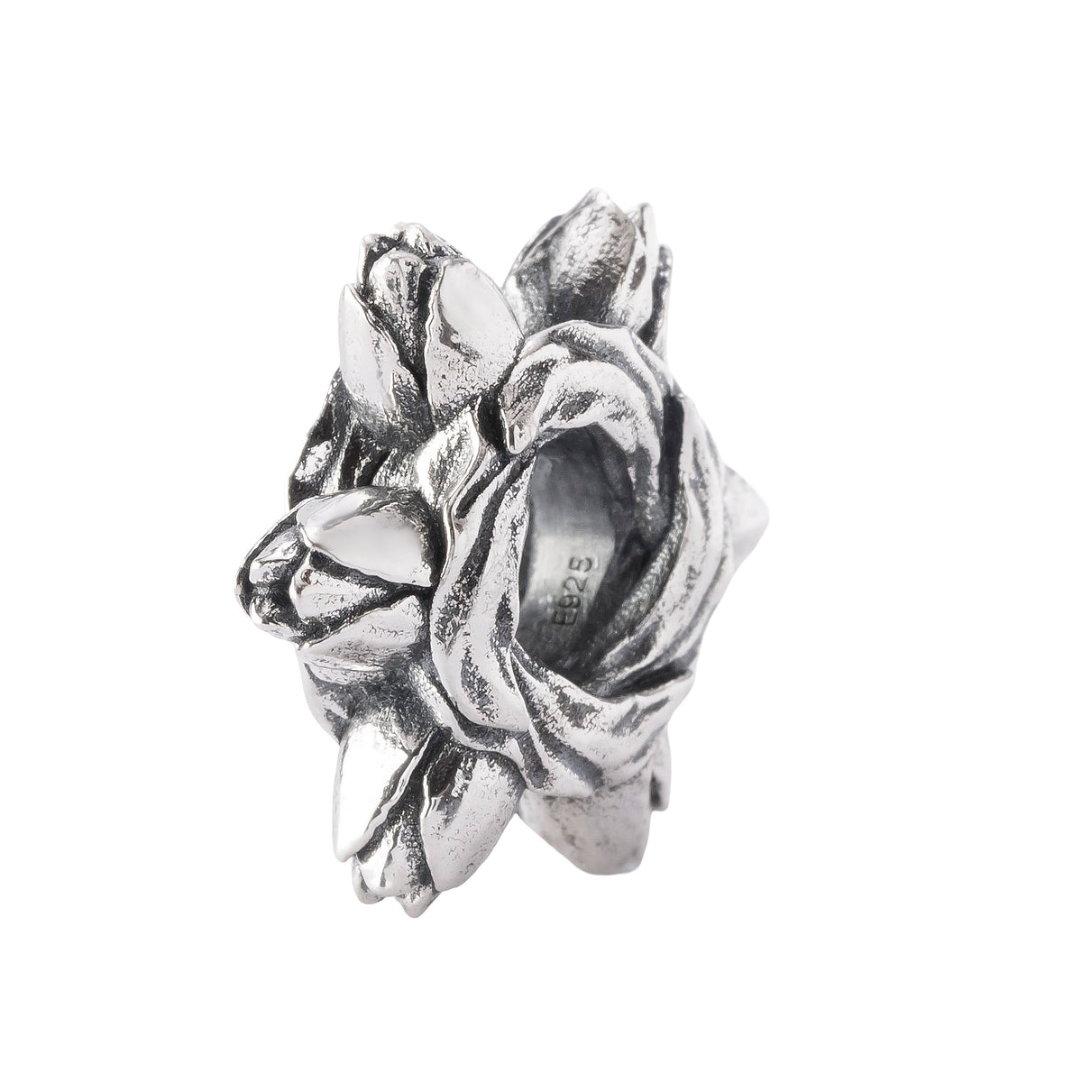 Tulip Embrace