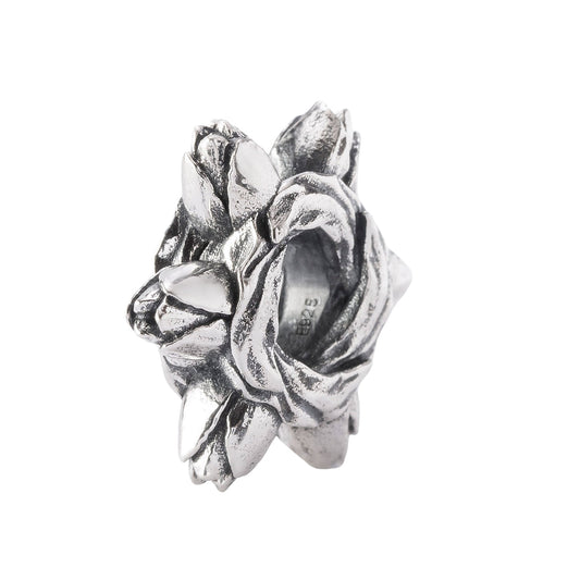 Tulip Embrace