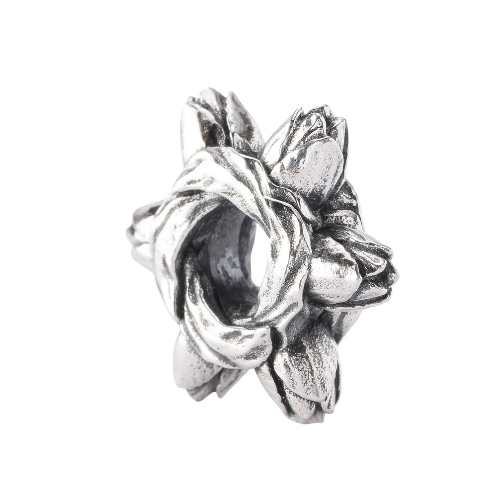 Tulip Embrace