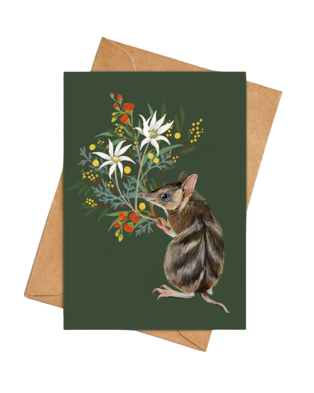 Bandicoot greeting card