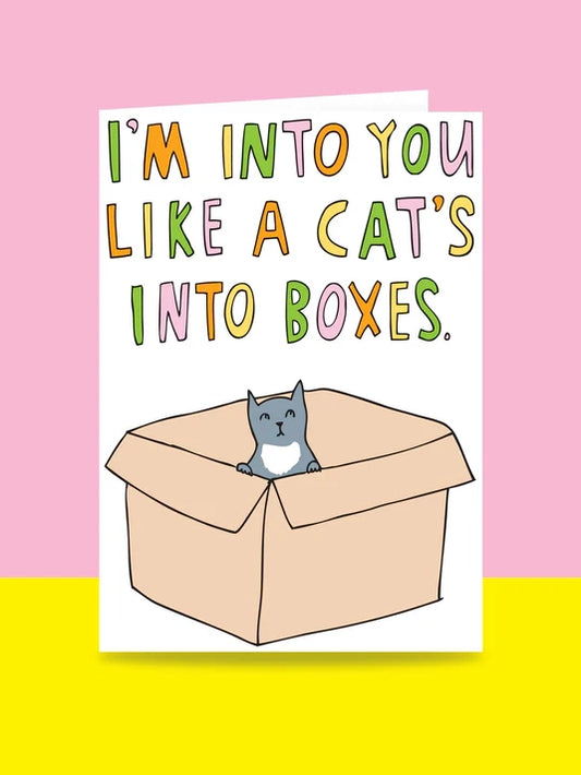 I'm Into You Like A Cat's Into Boxes Greeting Card