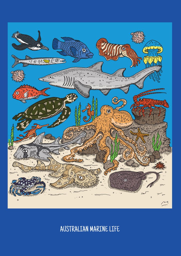 Australiana Set of 3 Notebooks - Mu Shop