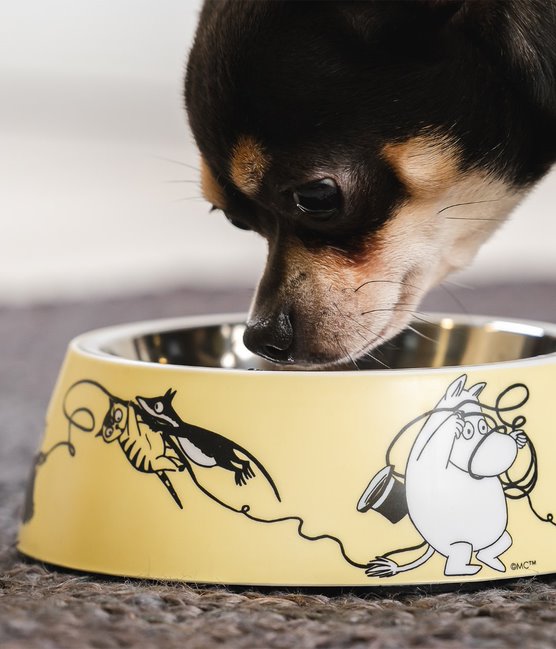 Moomin Yellow Pet Bowl Medium - view 5