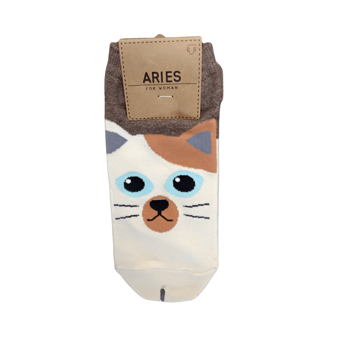 Brown Women Ankle Socks - Mu Shop