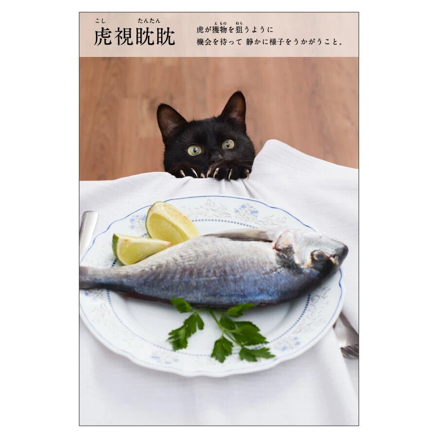 Cat Postcard – “Koshi Tantan” - Mu Shop